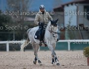 Berlin Tosc Tour2013- S5 1838 : Arezzo, Berlin, Cavalli d'Italia, Toscana Tour 2013, foto di Stefano Secchi ©